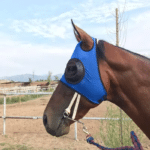 767a3467-5398-42e8-ad95-068fd55b93e8