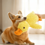 8cc32859-fac7-4d44-9b2f-6d58e22f4690_cleanup (1)